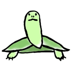 Chihuahua and Turtle sticker #1179905