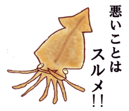 squid jokes sticker #1179936