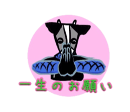 Ninjya cow sticker #1180235