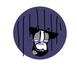 Ninjya cow sticker #1180241