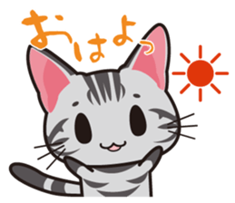 American Shorthair "Mito" sticker #1180347
