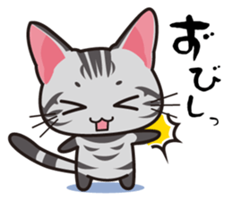 American Shorthair "Mito" sticker #1180352