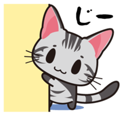 American Shorthair "Mito" sticker #1180353
