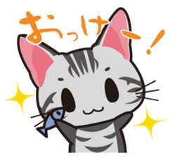 American Shorthair "Mito" sticker #1180354