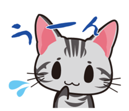 American Shorthair "Mito" sticker #1180355