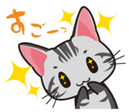 American Shorthair "Mito" sticker #1180357