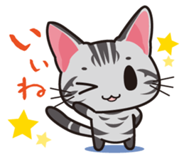 American Shorthair "Mito" sticker #1180358