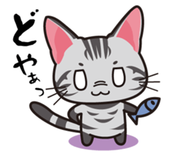 American Shorthair "Mito" sticker #1180361
