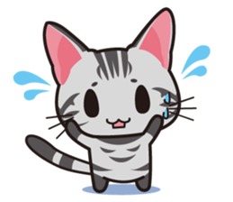 American Shorthair "Mito" sticker #1180362