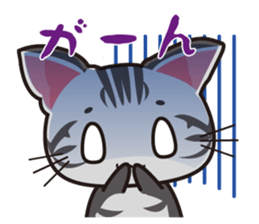 American Shorthair "Mito" sticker #1180368