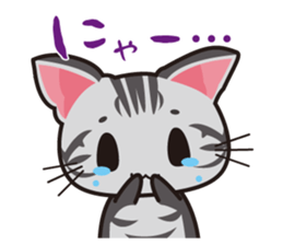 American Shorthair "Mito" sticker #1180372