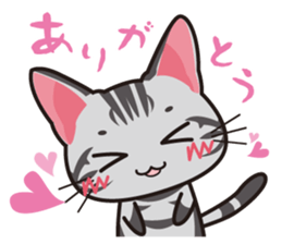 American Shorthair "Mito" sticker #1180374