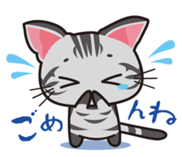 American Shorthair "Mito" sticker #1180375