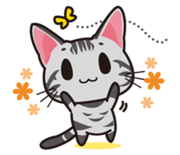 American Shorthair "Mito" sticker #1180379