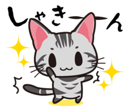 American Shorthair "Mito" sticker #1180380