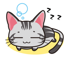 American Shorthair "Mito" sticker #1180383