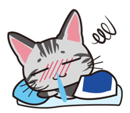 American Shorthair "Mito" sticker #1180385