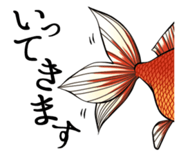 Real Goldfish sticker #1182102