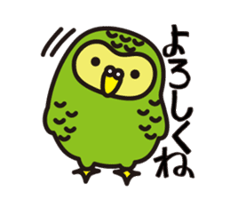Happy Kakapo sticker #1184630