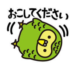 Happy Kakapo sticker #1184633