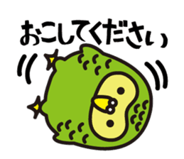 Happy Kakapo sticker #1184633