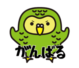 Happy Kakapo sticker #1184644