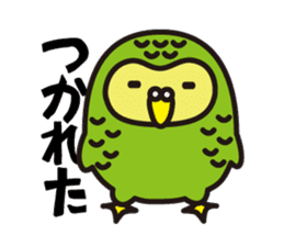 Happy Kakapo sticker #1184650