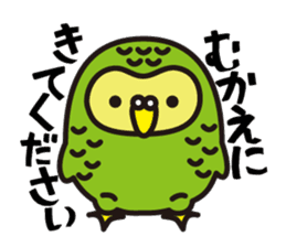 Happy Kakapo sticker #1184652