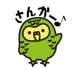 Happy Kakapo sticker #1184654