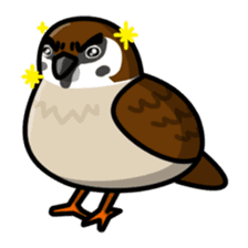 Sparrow sticker #1187310