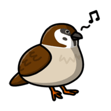 Sparrow sticker #1187319