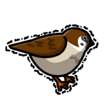 Sparrow sticker #1187329