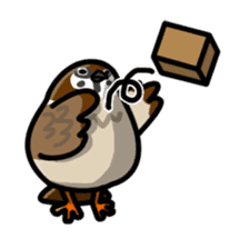 Sparrow sticker #1187330