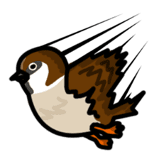 Sparrow sticker #1187333