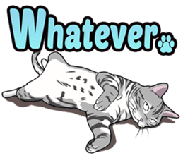 Cat American Shorthair(English ver.) sticker #1187467
