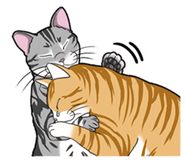 Cat American Shorthair(English ver.) sticker #1187469