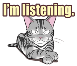 Cat American Shorthair(English ver.) sticker #1187472