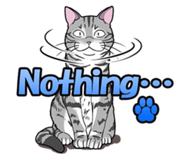 Cat American Shorthair(English ver.) sticker #1187474