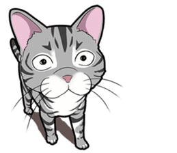 Cat American Shorthair(English ver.) sticker #1187476
