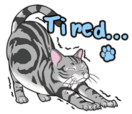 Cat American Shorthair(English ver.) sticker #1187478