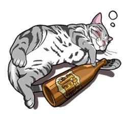 Cat American Shorthair(English ver.) sticker #1187480