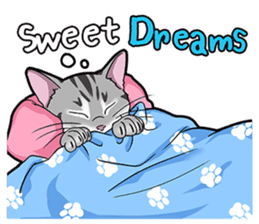Cat American Shorthair(English ver.) sticker #1187481