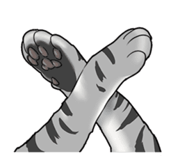 Cat American Shorthair(English ver.) sticker #1187483