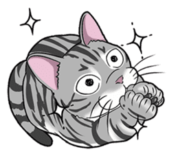 Cat American Shorthair(English ver.) sticker #1187484