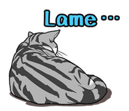 Cat American Shorthair(English ver.) sticker #1187488