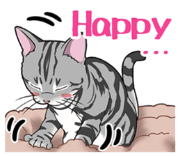 Cat American Shorthair(English ver.) sticker #1187491