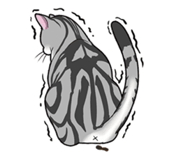 Cat American Shorthair(English ver.) sticker #1187496
