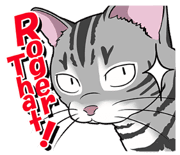 Cat American Shorthair(English ver.) sticker #1187497