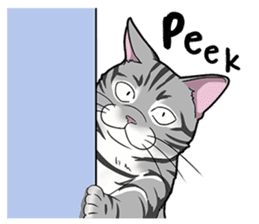 Cat American Shorthair(English ver.) sticker #1187498