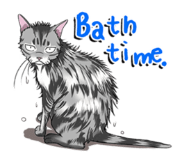 Cat American Shorthair(English ver.) sticker #1187499